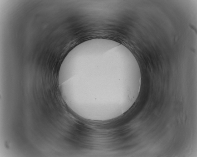 X0000097830431200803140832