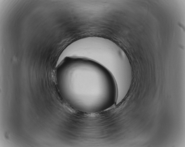 X0000097830432200803140832