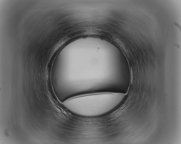 X0000097830435200803140831
