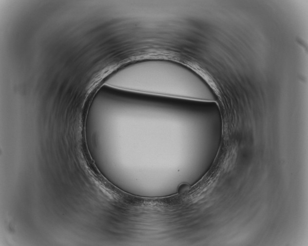 X0000097830437200803140831