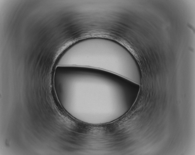 X0000097830438200803140831