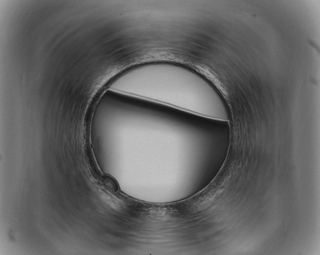 X0000097830439200803140831