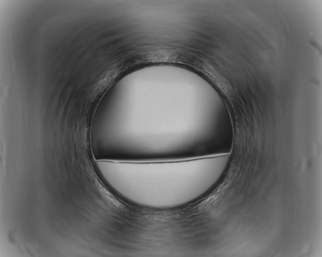 X0000097830441200803140831