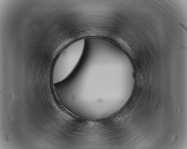 X0000097830442200803140831