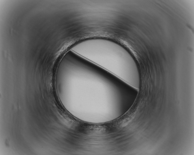 X0000097830443200803140831