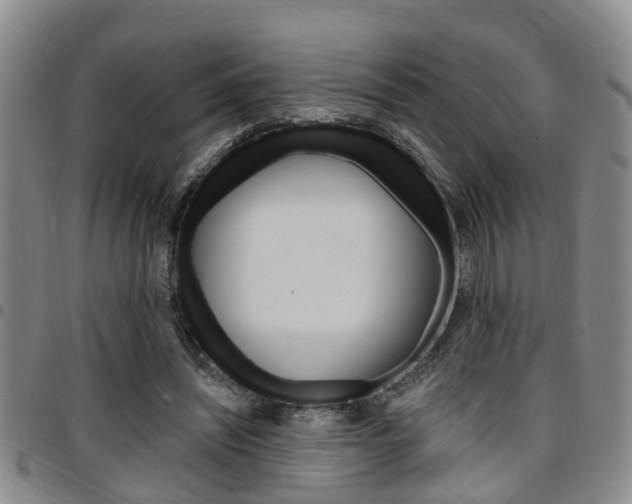X0000097830444200803140831