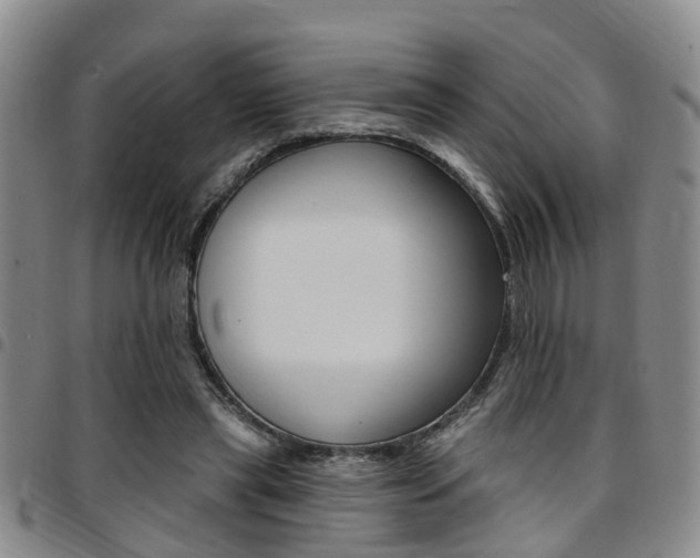 X0000097830445200803140831