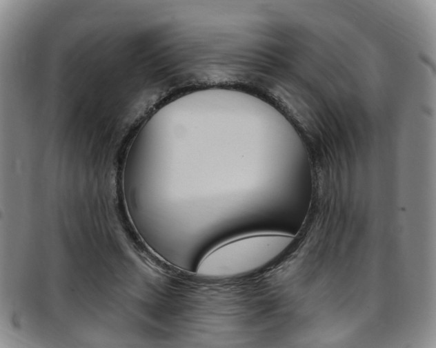 X0000097830447200803140831