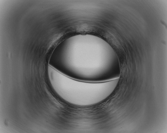 X0000097830448200803140832