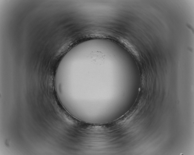 X0000097830449200803140832