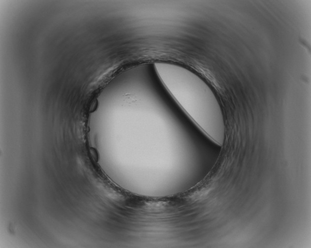 X0000097830450200803140832