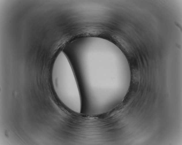 X0000097830451200803140832