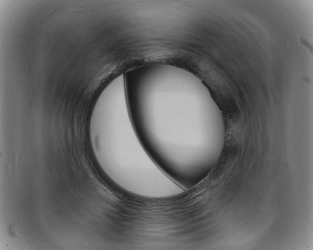 X0000097830452200803140832