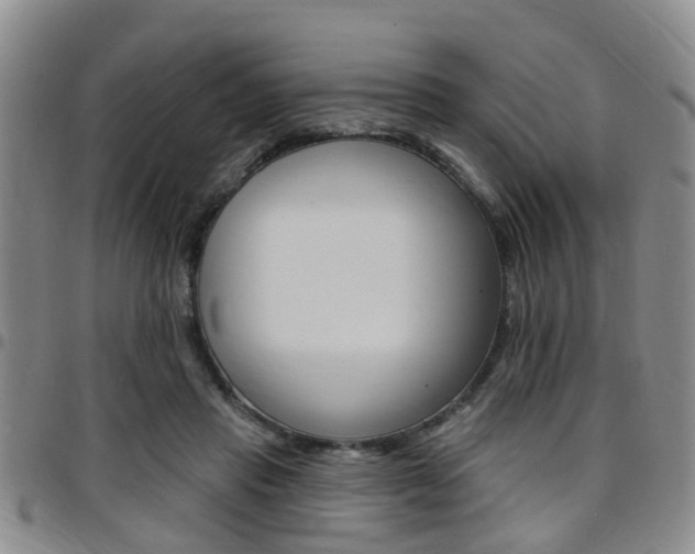 X0000097830453200803140832