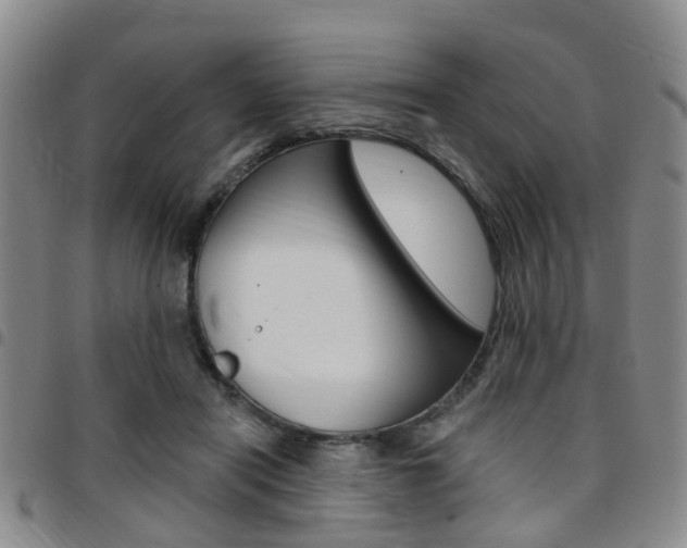 X0000097830454200803140832