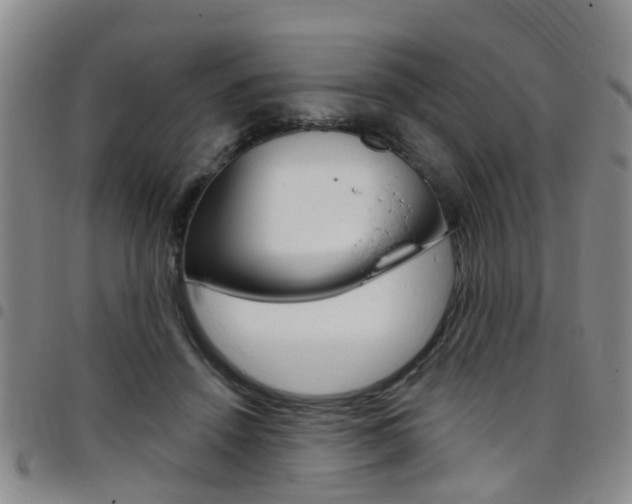 X0000097830456200803140832