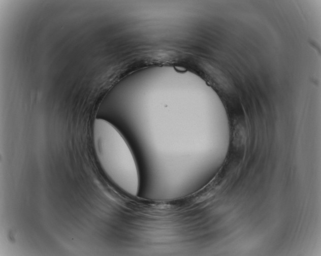X0000097830459200803140832