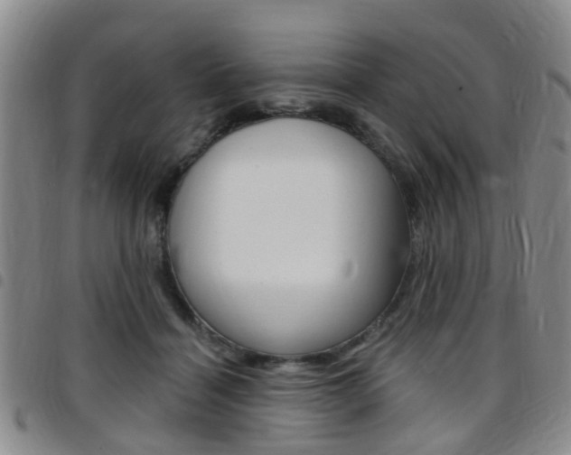 X0000097830460200803140832