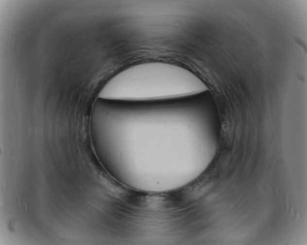 X0000097830462200803140832