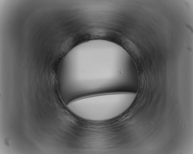 X0000097830463200803140832