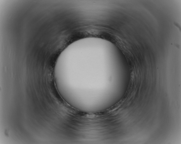 X0000097830464200803140832