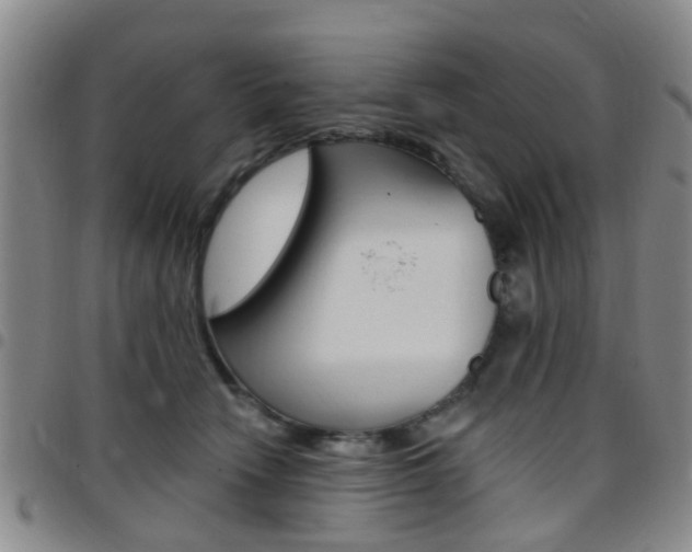 X0000097830466200803140832
