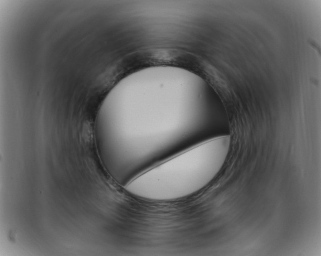 X0000097830467200803140832