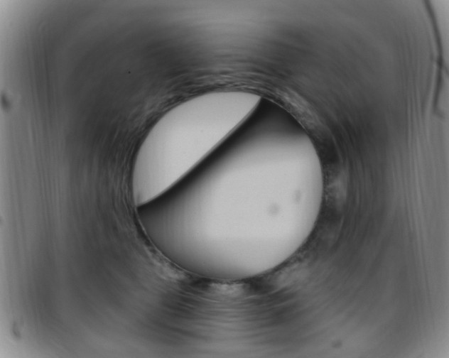 X0000097830469200803140832