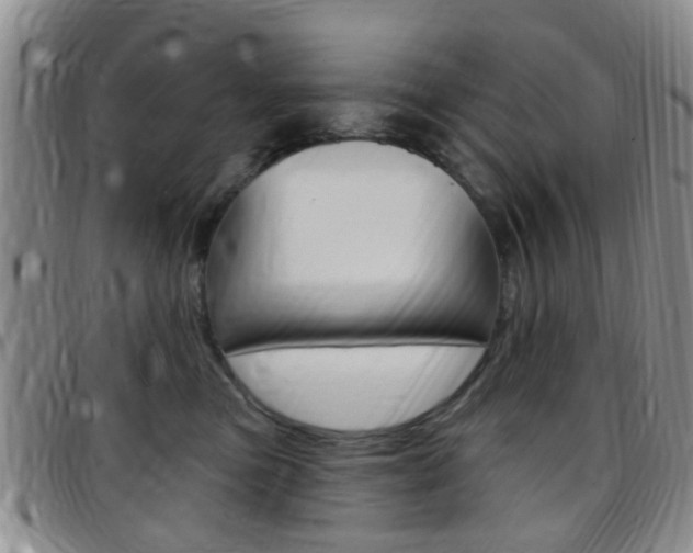 X0000097830473200803140832
