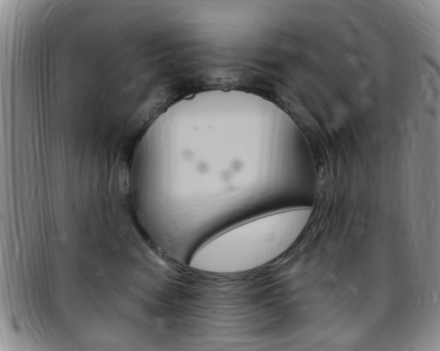 X0000097830474200803140832