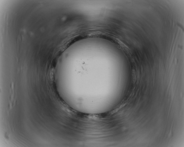 X0000097830475200803140832