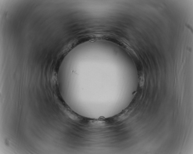 X0000097830476200803140832