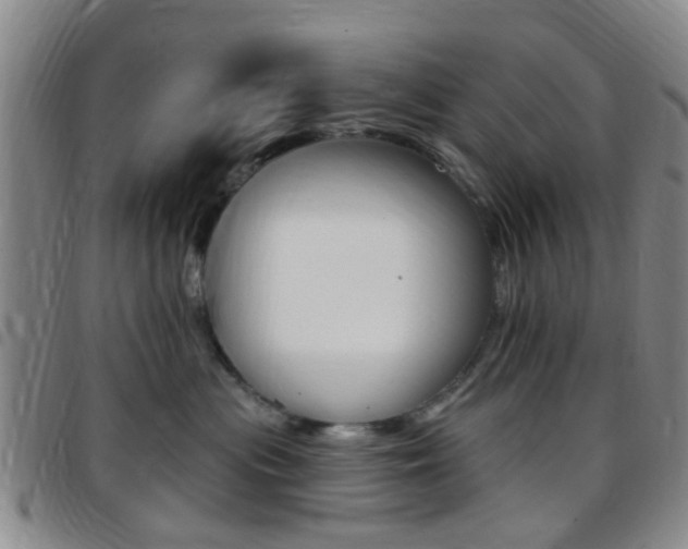 X0000097830477200803140832