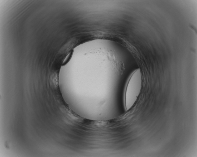 X0000097830479200803140832