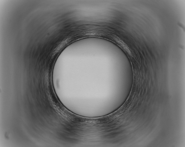 X0000097830482200803140831