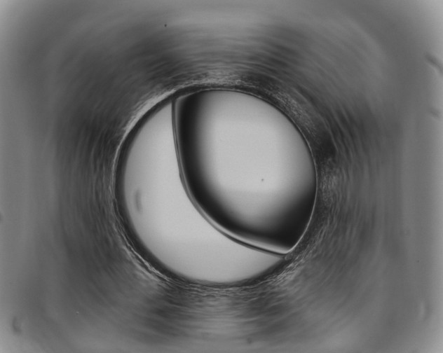 X0000097830484200803140831