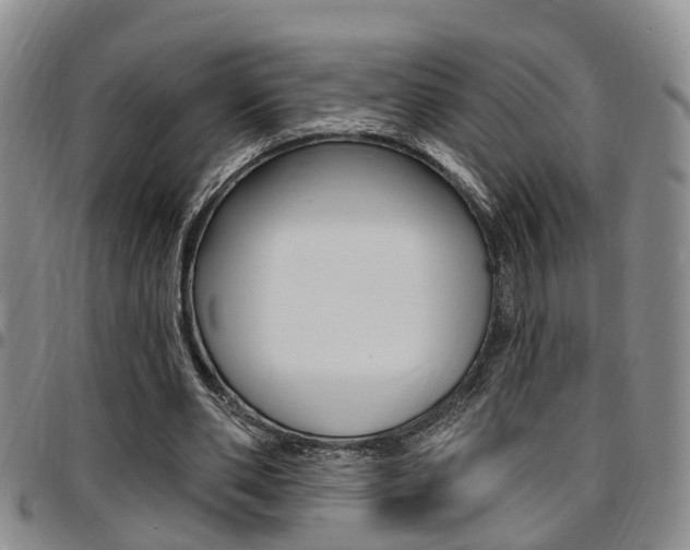 X0000097830486200803140831