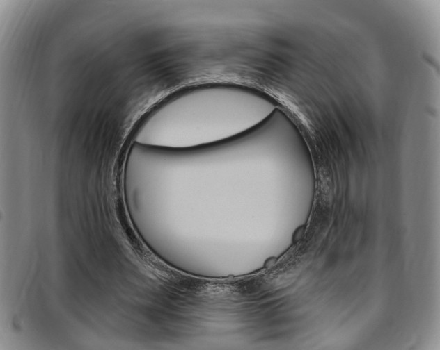 X0000097830487200803140831