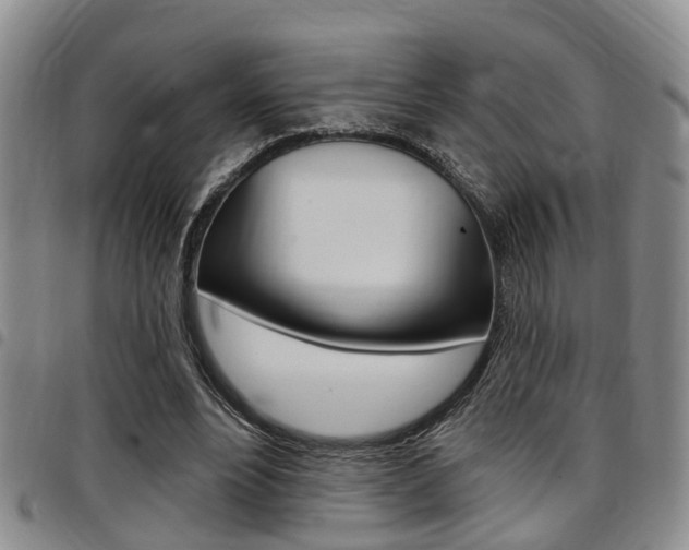 X0000097830488200803140831