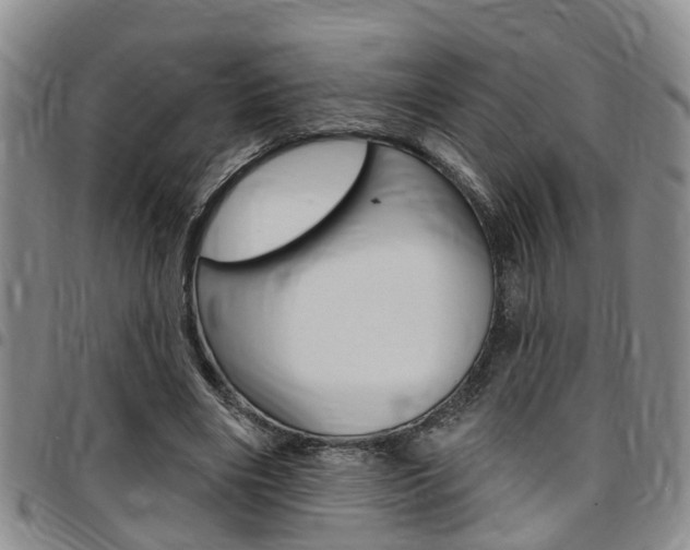X0000097830490200803140831