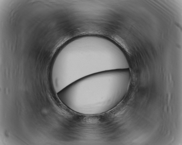 X0000097830491200803140831