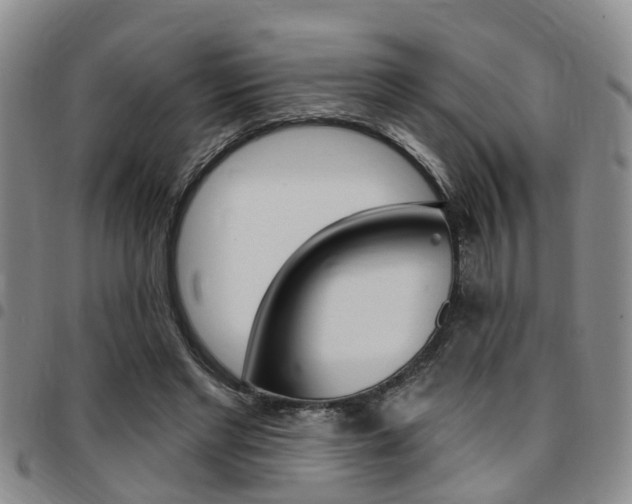 X0000097830493200803140831