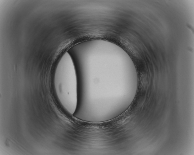 X0000097830494200803140831