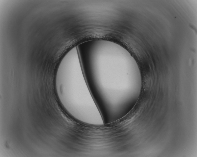 X0000097830497200803140831