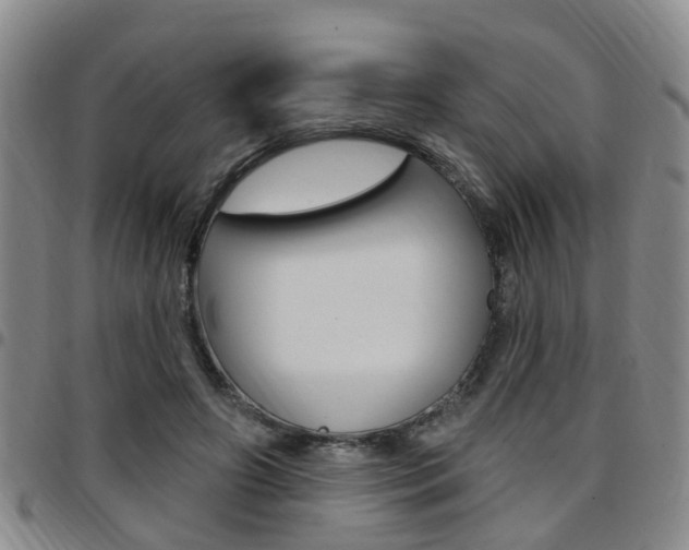 X0000097830498200803140831