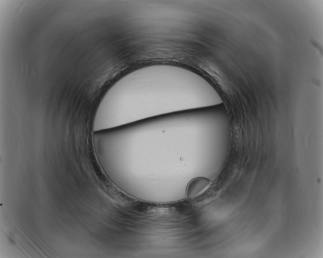X0000097830499200803140831