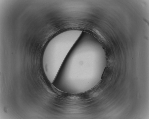 X0000097830500200803140831