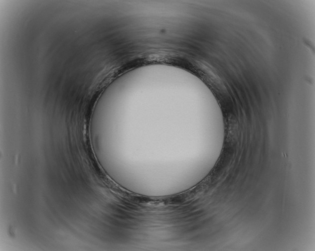 X0000097830502200803140831