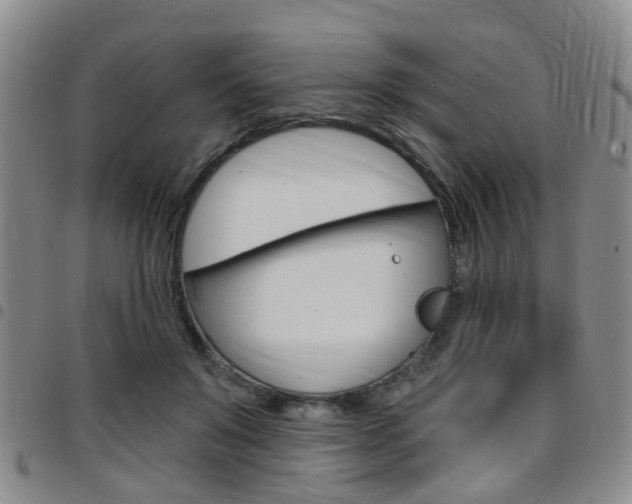 X0000097830503200803140831