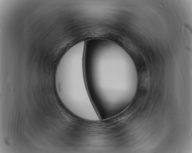 X0000097830505200803140831